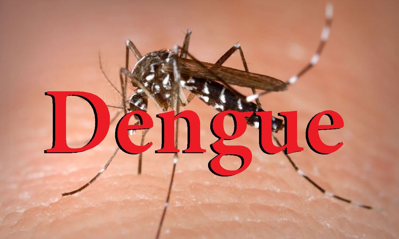 Dengue infection decreasing